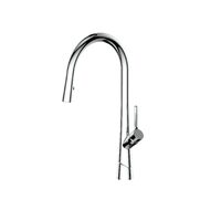 Greens Lustro Pull Down With Swivel Spout Sink Mixer Chrome