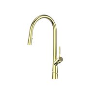 Greens Lustro Pull Down With Swivel Spout Sink Mixer Brushed Brass
