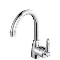 Fienza Eleanor Gooseneck Basin Mixer Chrome 