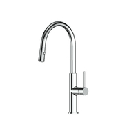Greens Mika Pull Down With Swivel Spout Sink Mixer Chrome