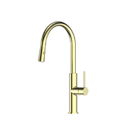Greens Mika Pull Down With Swivel Spout Sink Mixer Brushed Brass