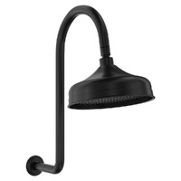 Fienza Lillian Shower Arm Set Matte Black