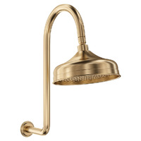 Fienza Lillian Shower Arm Set Urban Brass