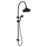 Fienza Lillian Twin Shower and Rail Matte Black