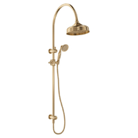 Fienza Lillian Twin Shower and Rail Urban Brass