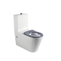 Zumi Cara Care Back To Wall Toilet Suite with Grey Seat