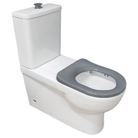 Fienza Stella Care Rimless Back To Wall Toilet Suite With Grey Seat