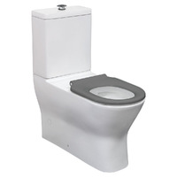 Fienza Delta Care Rimless Back To Wall Toilet Suite With Grey Seat
