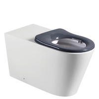 Fienza Isabella Care Wall-Faced Toilet Suite With Grey Seat