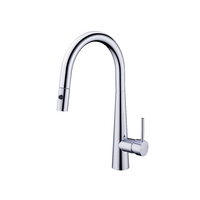 Dolce Pull Out Kitchen Sink Mixer Chrome