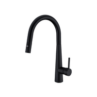Nero Dolce Pull Out Sink Mixer With Vegie Spray Function Matte Black NR581009cMB