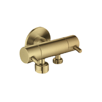Linkware T115DBG Dual Control Mini Cistern Cock Toilet Bidet Brushed Gold