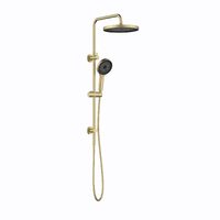 Linkware T7808BG Gabe 260mm Twin Shower With Rail Brushed Gold