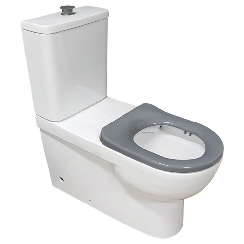 Fienza Stella Care Back To Wall P-Trap Bottom Inlet Toilet Suite With Grey Seat