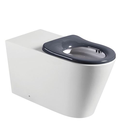 Fienza Isabella Care In Wall Cistern P-Trap Care Raised Toilet Suite